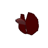 Betta Fish